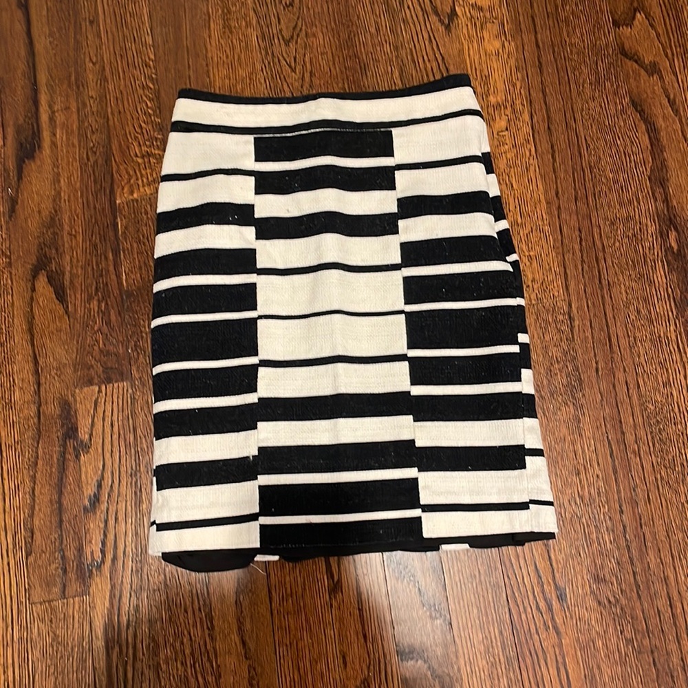 Ann Taylor Skirt